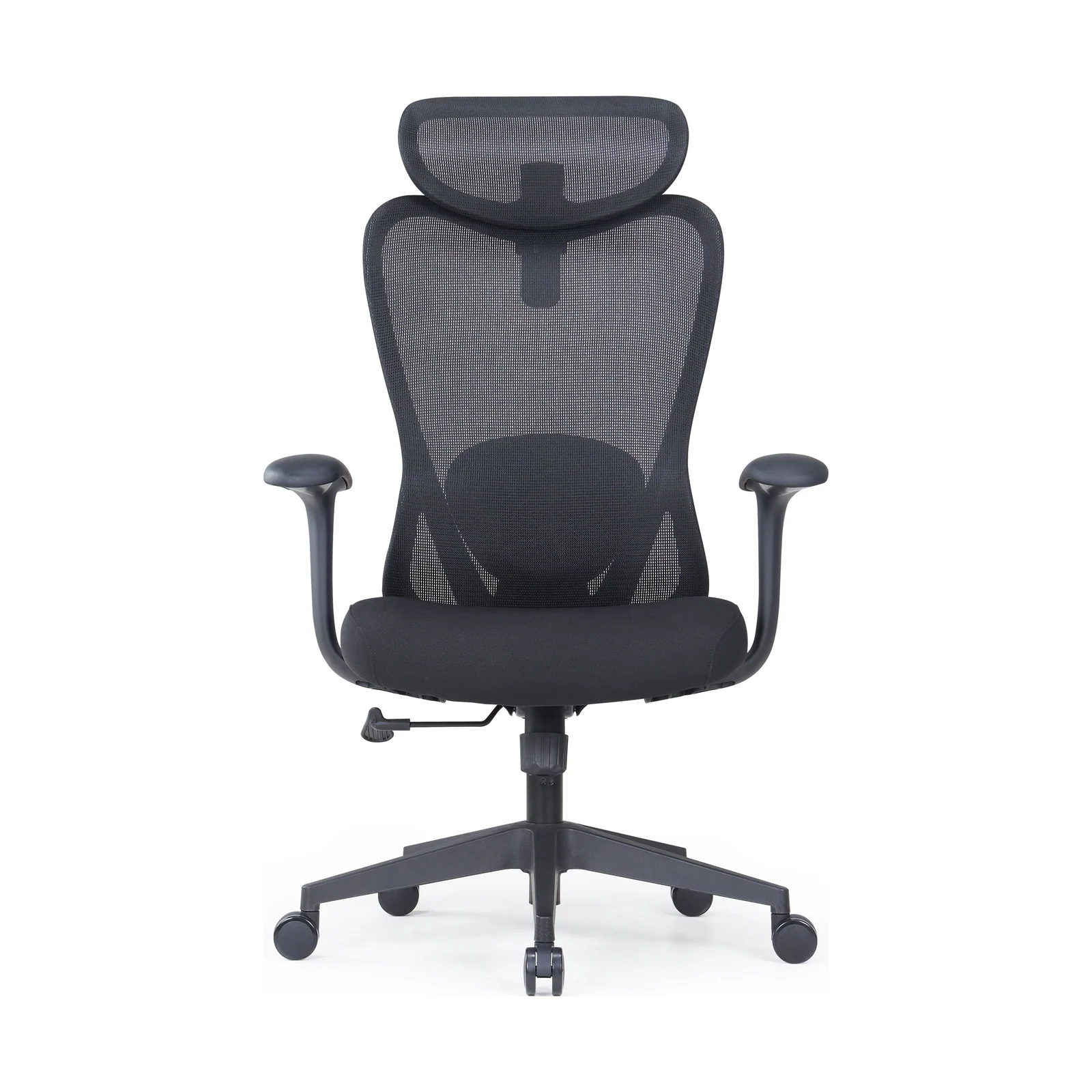 Adjustable Lumbar Mesh Chair, product view 2