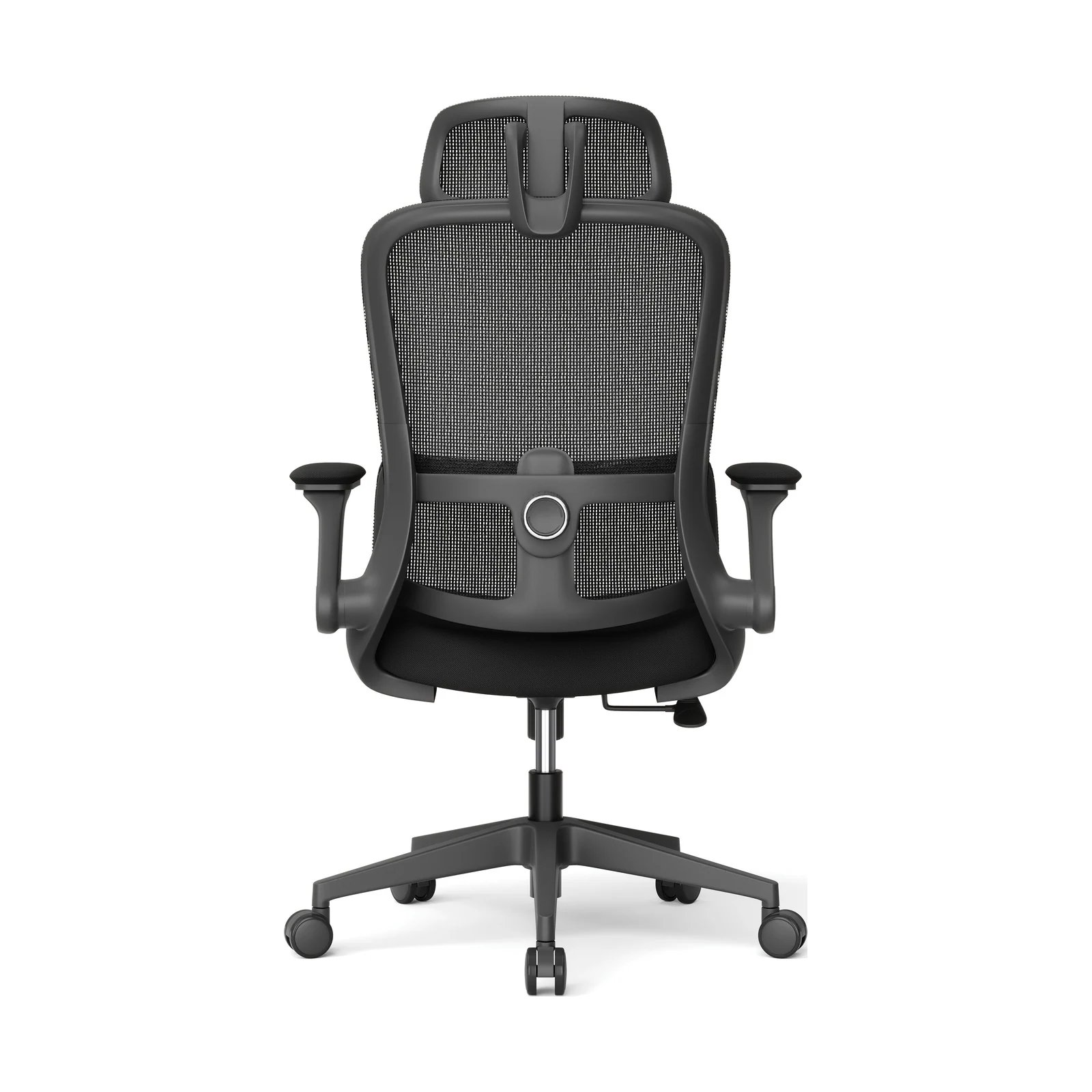 Adjustable Support Task Chair, product view 5