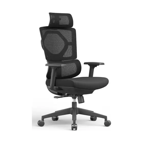Adaptive Lumbar Mesh Chair, MV-OC-018