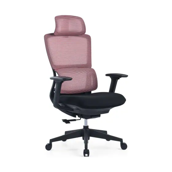 Dual-Back Ergonomic Chair, MV-OC-019