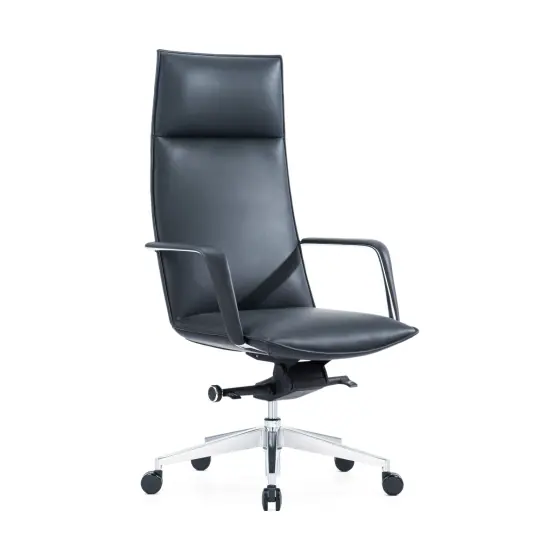 Integrated-Back Executive Chair, MV-OC-024