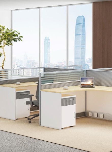 Focus Screen Workstation, MV-DK-021